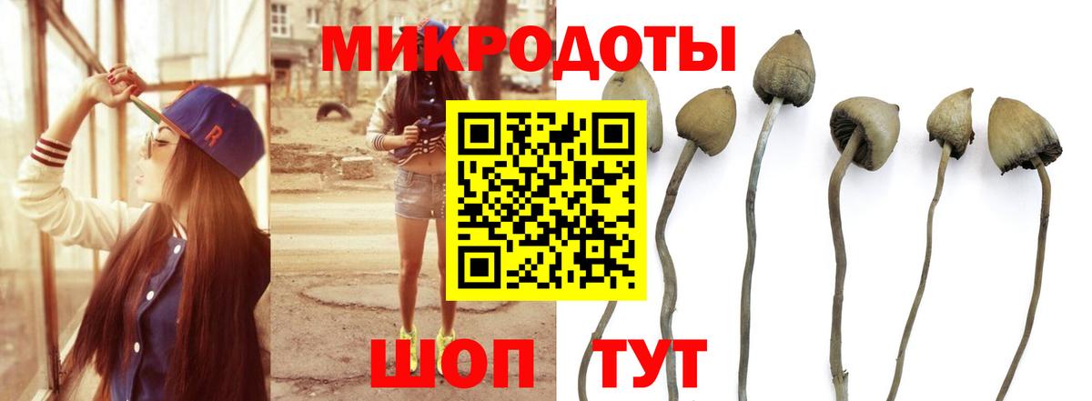 Набережные Челны  Псилоцибиновые грибы мухоморы  Вход с VPN 